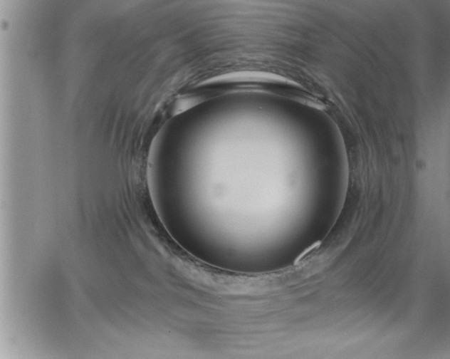 X0000064720044200602171627