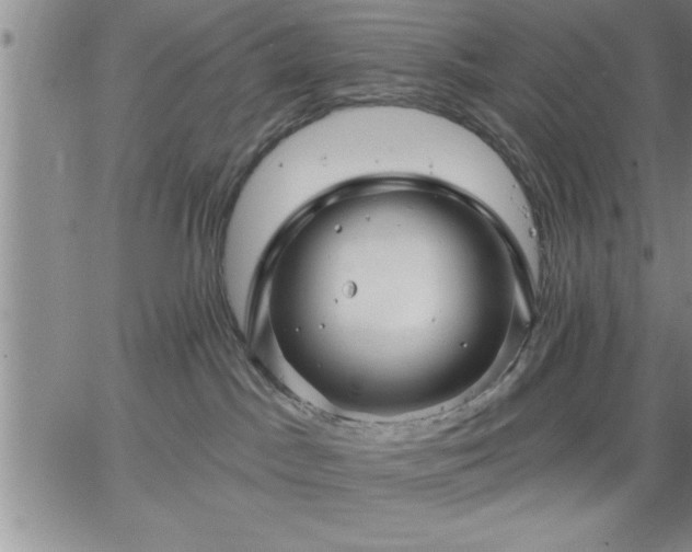 X0000064720045200602171627