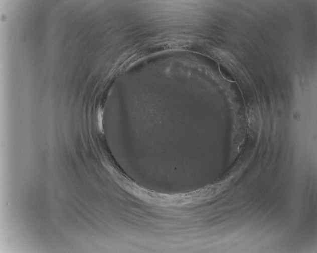 X0000064720046200602171627