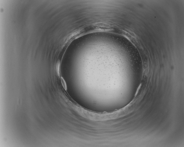 X0000064720047200602171627