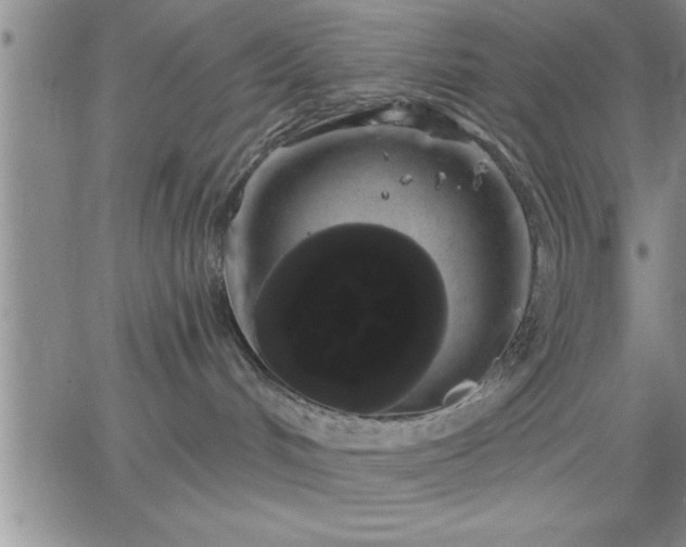 X0000064720048200602171627