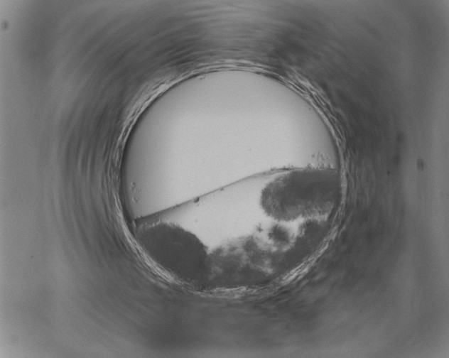 X0000064720049200602171626