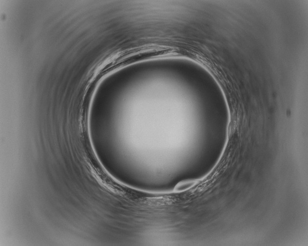 X0000064720050200602171626