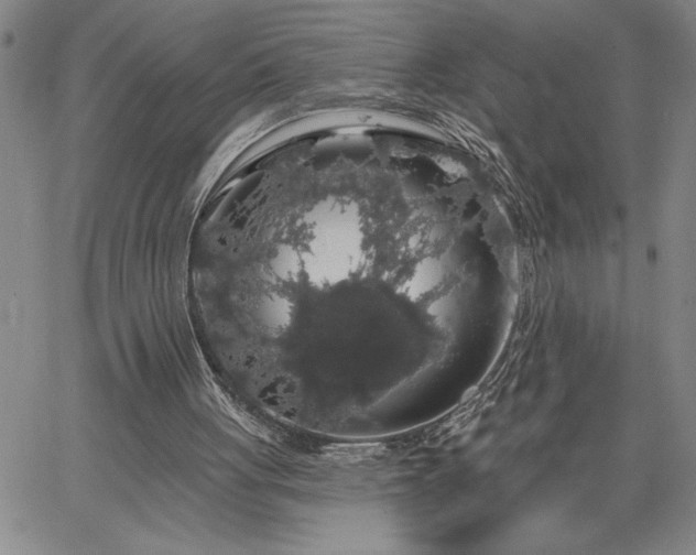 X0000064720051200602171626