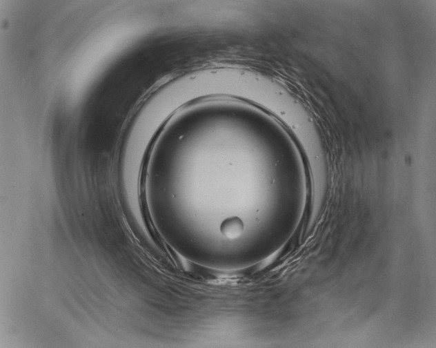 X0000064720052200602171626