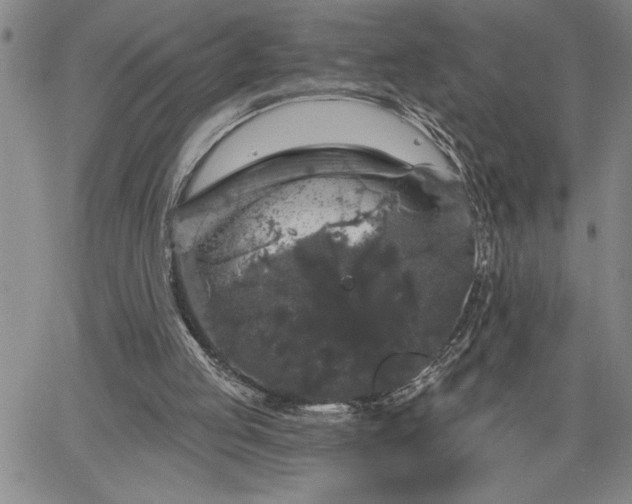 X0000064720053200602171626