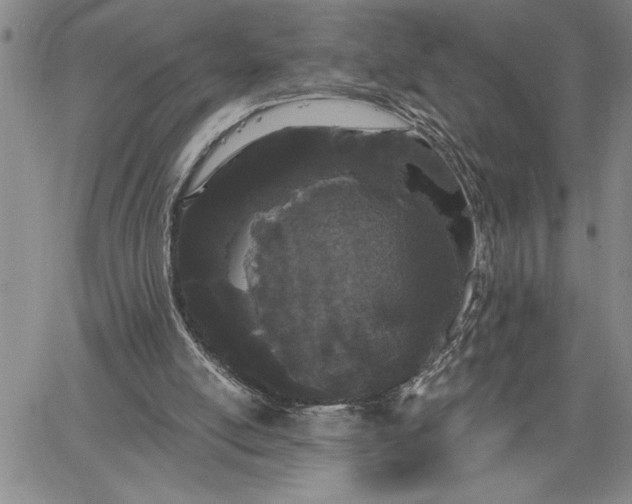 X0000064720054200602171626