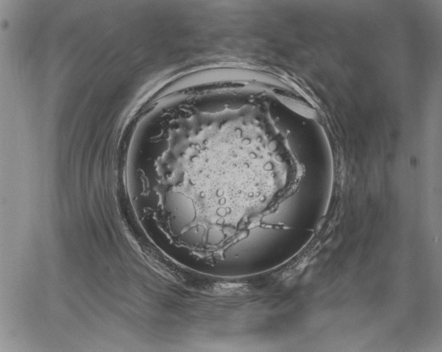 X0000064720055200602171626