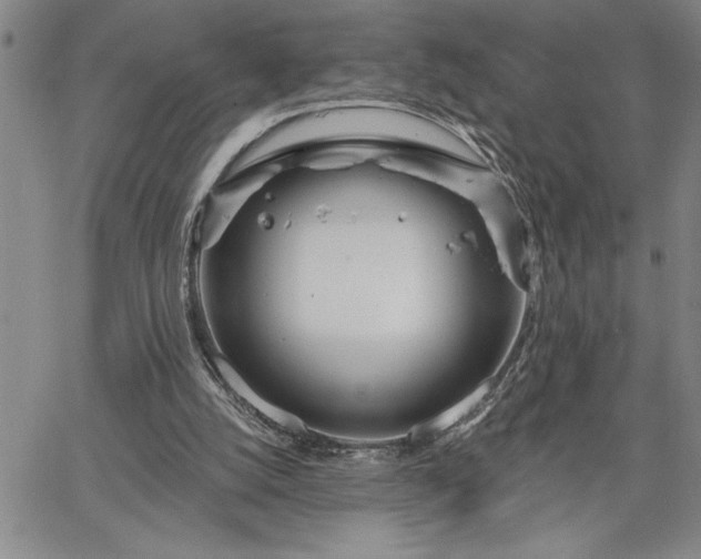 X0000064720056200602171626