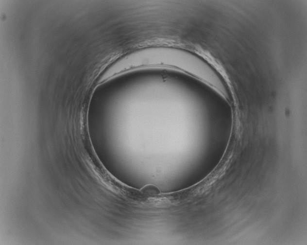 X0000064720057200602171626