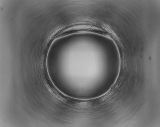 X0000064720058200602171626