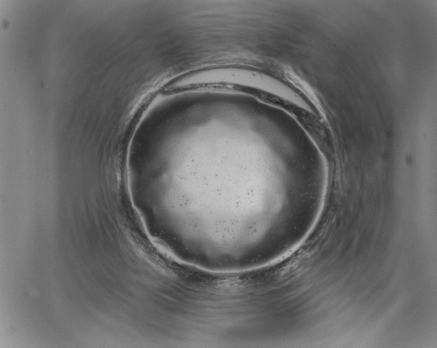 X0000064720059200602171626