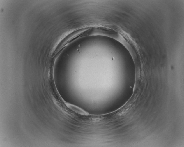 X0000064720060200602171626