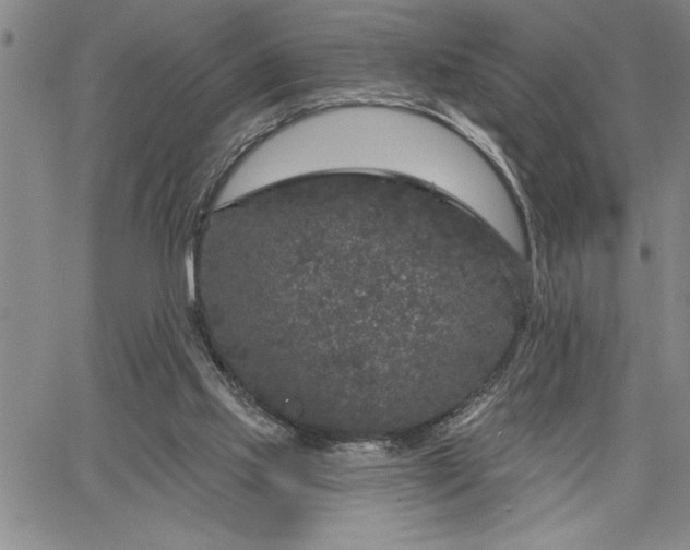 X0000064720061200602171626