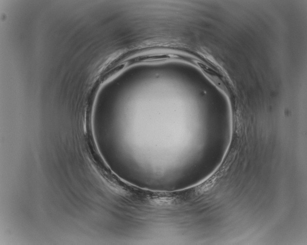 X0000064720062200602171627