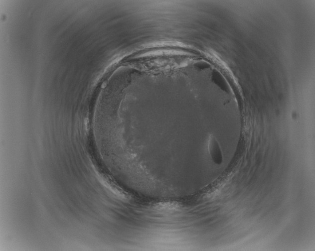 X0000064720063200602171627