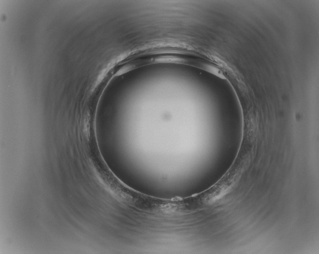 X0000064720064200602171627