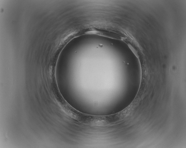 X0000064720066200602171627