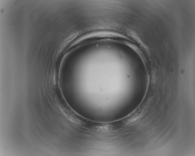 X0000064720068200602171627