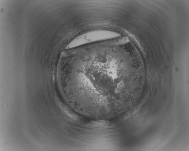 X0000064720069200602171627