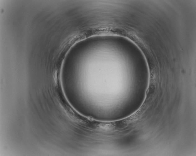 X0000064720070200602171627