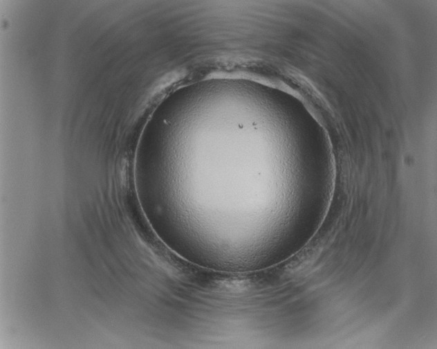 X0000064720071200602171627