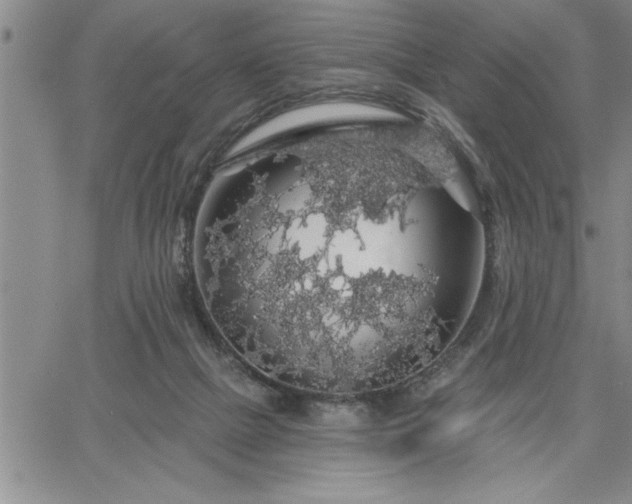 X0000064720073200602171627