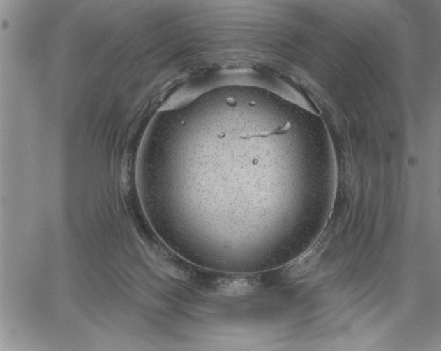 X0000064720074200602171627