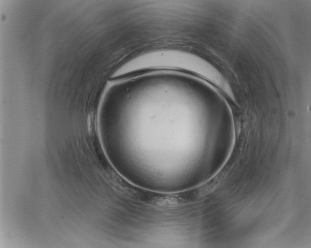 X0000064720075200602171627