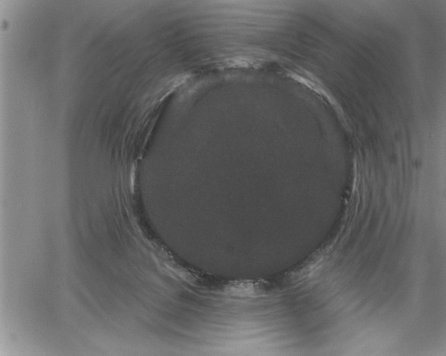 X0000064720076200602171627