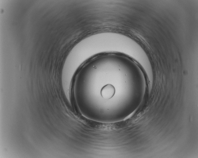 X0000064720077200602171627