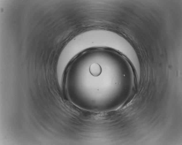 X0000064720078200602171627