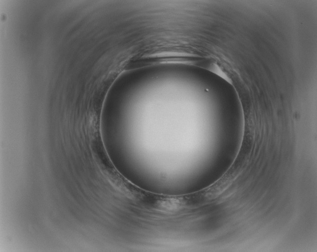 X0000064720079200602171627