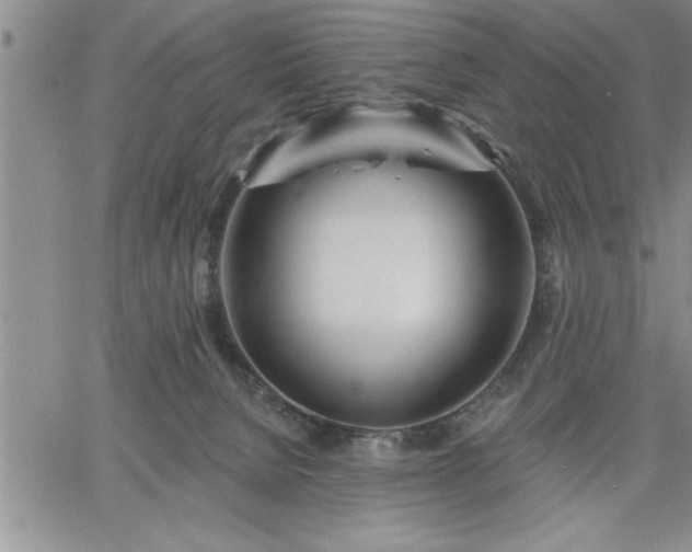 X0000064720080200602171627