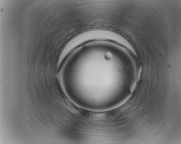 X0000064720081200602171627