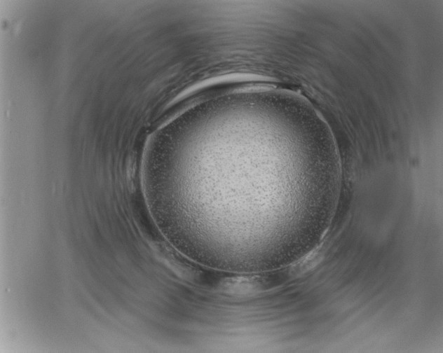 X0000064720082200602171627