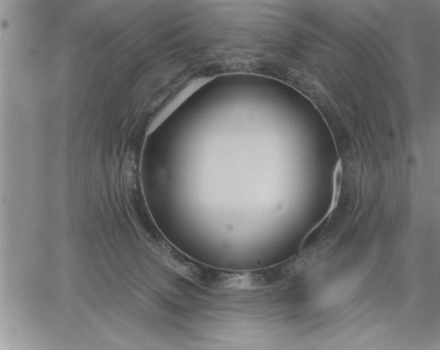 X0000064720083200602171627