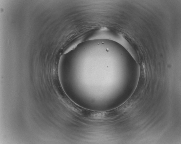 X0000064720084200602171627