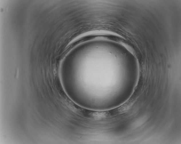 X0000064720085200602171627