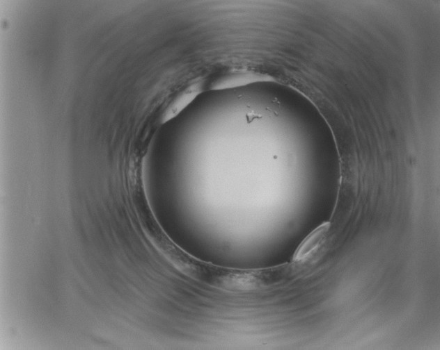 X0000064720086200602171627