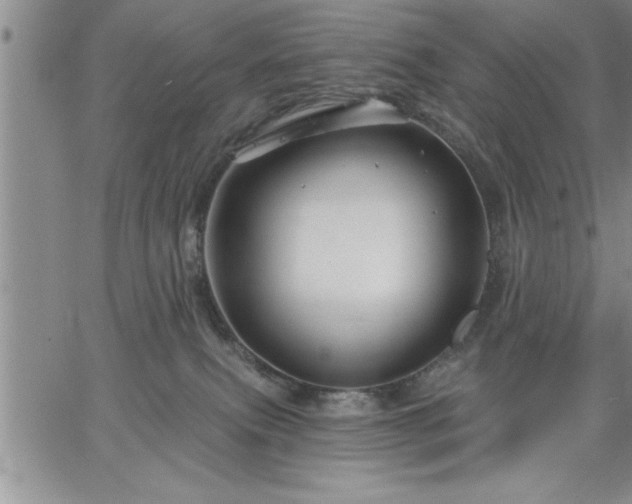 X0000064720087200602171627