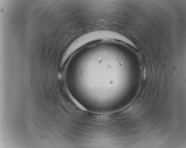 X0000064720088200602171627