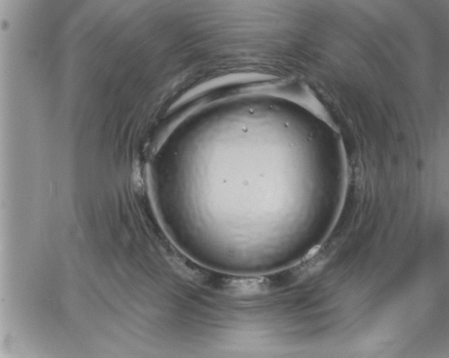 X0000064720089200602171627