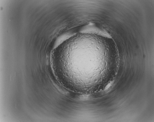 X0000064720090200602171627