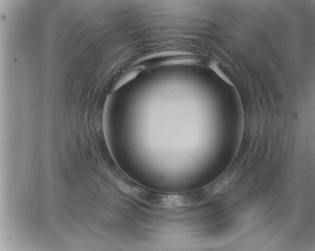 X0000064720091200602171627