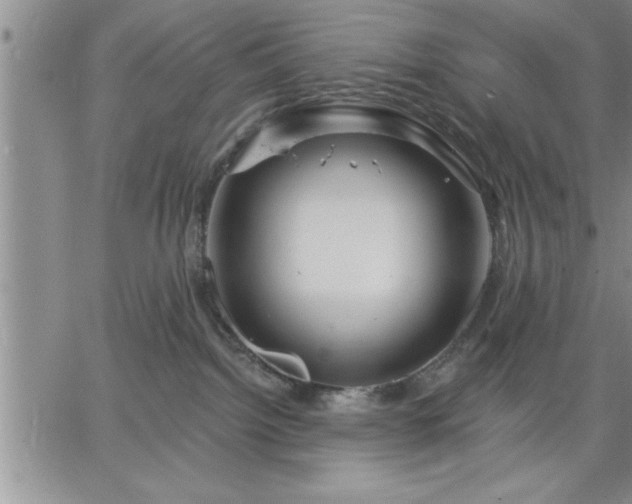 X0000064720092200602171627