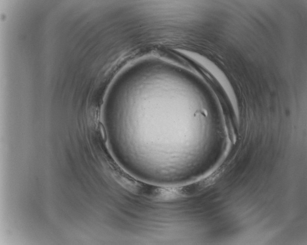 X0000064720093200602171627