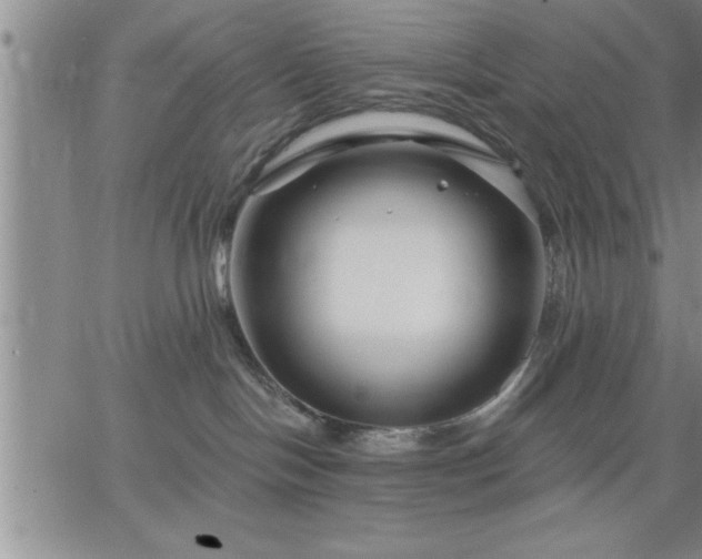 X0000064720094200602171627