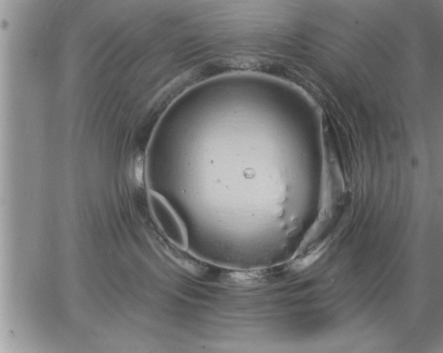 X0000064720095200602171627