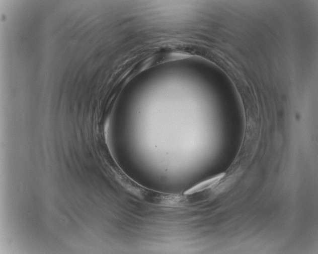 X0000064720096200602171627